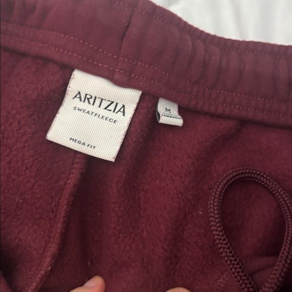 Aritzia burgundy pants - Picture 4 of 6